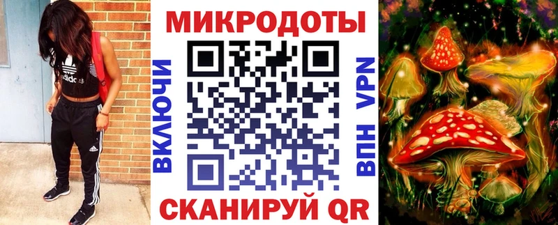 Псилоцибиновые грибы мицелий где купить наркотик Пыталово